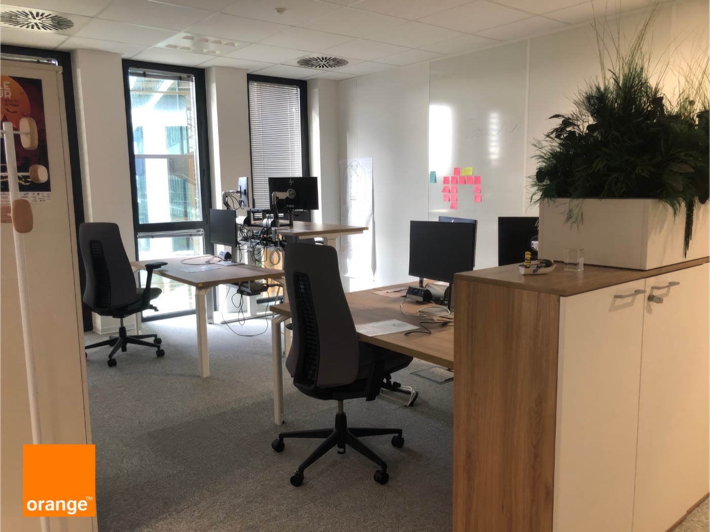 Bureaux Orange partagés, séparés par des rangements et des plantes.